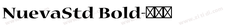 NuevaStd Bold字体转换